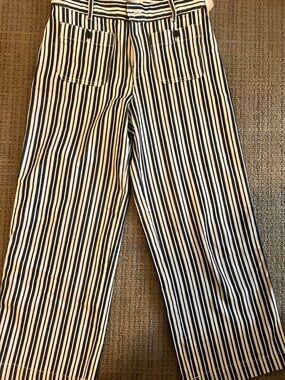 LOFT Black and White Vertical Stripe Chinos